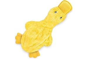 Best Pet Supplies Interactive Squeaky Dog Chew Toy, Ideal Dog Toys for Chewers, Small, Medium & Large Dogs, and Fetch Lovers