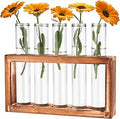 Tigvio Desktop Glass Plant Propagation Station with 5 Test Tubes in Wooden Stand - Hydroponic Plants Cutting Office Home Decoration and Garden Decor Terrarium (5 Tubes)