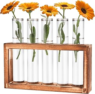 Tigvio Desktop Glass Plant Propagation Station with 5 Test Tubes in Wooden Stand - Hydroponic Plants Cutting Office Home Decoration and Garden Decor Terrarium (5 Tubes)