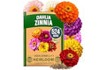 HOME GROWN Zinnia Dahlia Seeds Pack for 2026 Non GMO 524 Flower Seeds | Vibrant Zinnia Elegans for Pollinator Gardens, Border